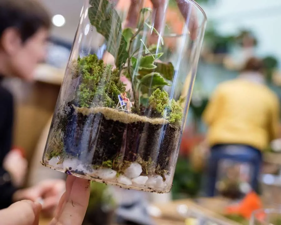 terrarium floral team building marrakech